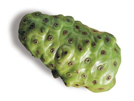 noni_fruit.jpg